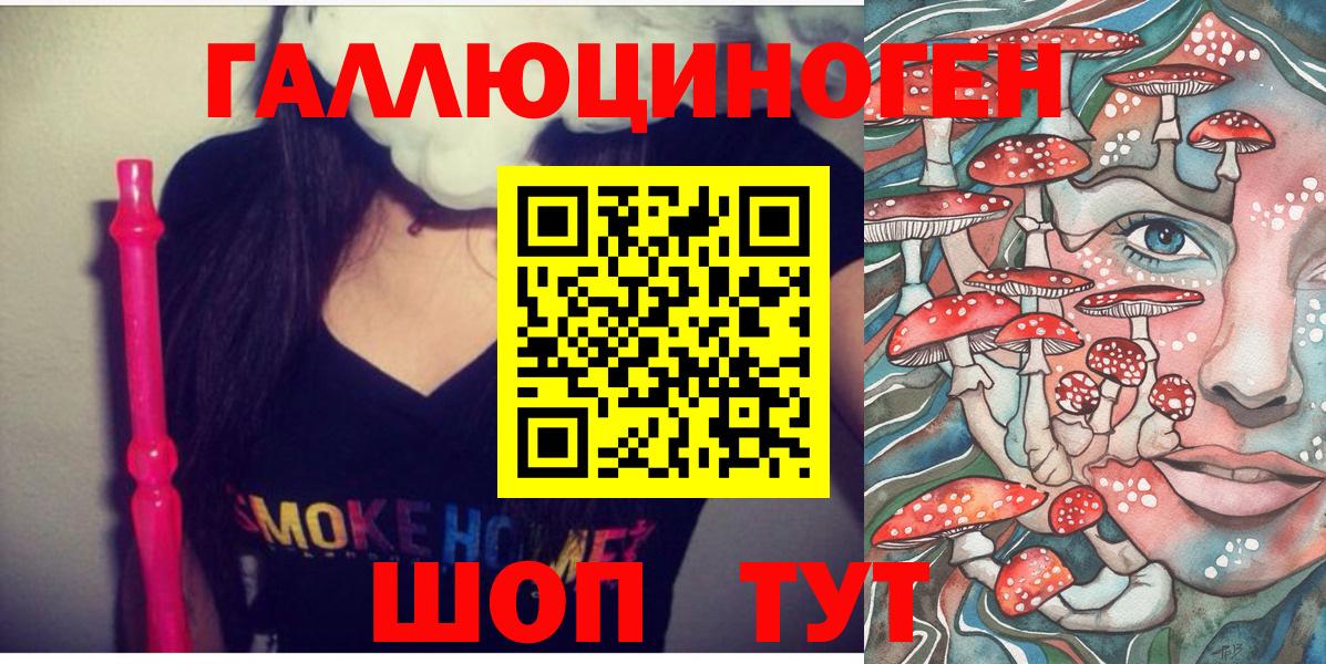 Галлюциногенные грибы Psilocybe Мурино