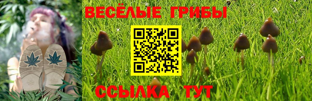 даркнет сайт  Галлюциногенные грибы MAGIC MUSHROOMS  Вход с VPN  Мурино 